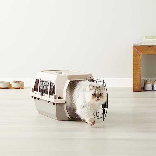 2-Door Top-Load Hard-Sided Pet Carrier, Gray & Blue, 22.8 x 15.0 x 13.0 inches I714191