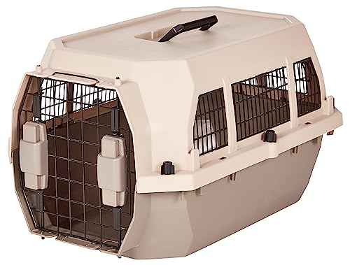 2-Door Top-Load Hard-Sided Pet Carrier, Gray & Blue, 22.8 x 15.0 x 13.0 inches I714191