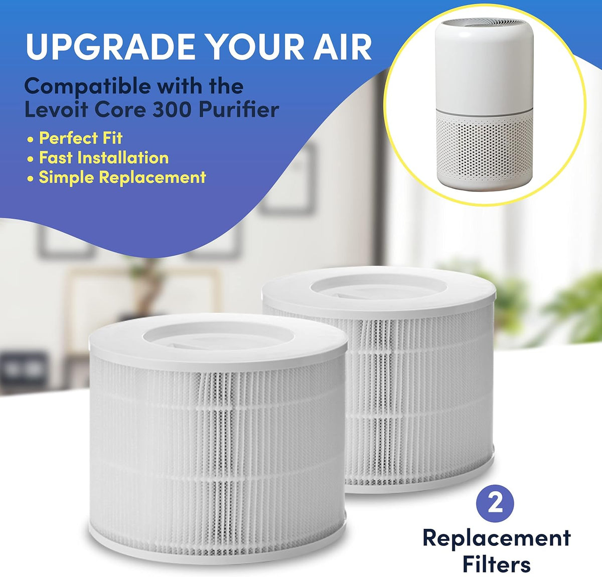 2 Pack H13 True HEPA Replacement Filters J6947
