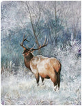 24x32 Canvas Art Y714228