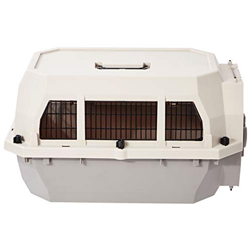 2-Door Top-Load Hard-Sided Pet Carrier, Gray & Blue, 22.8 x 15.0 x 13.0 inches I714191