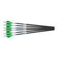 18in 6pk Crossbow Bolts N782828