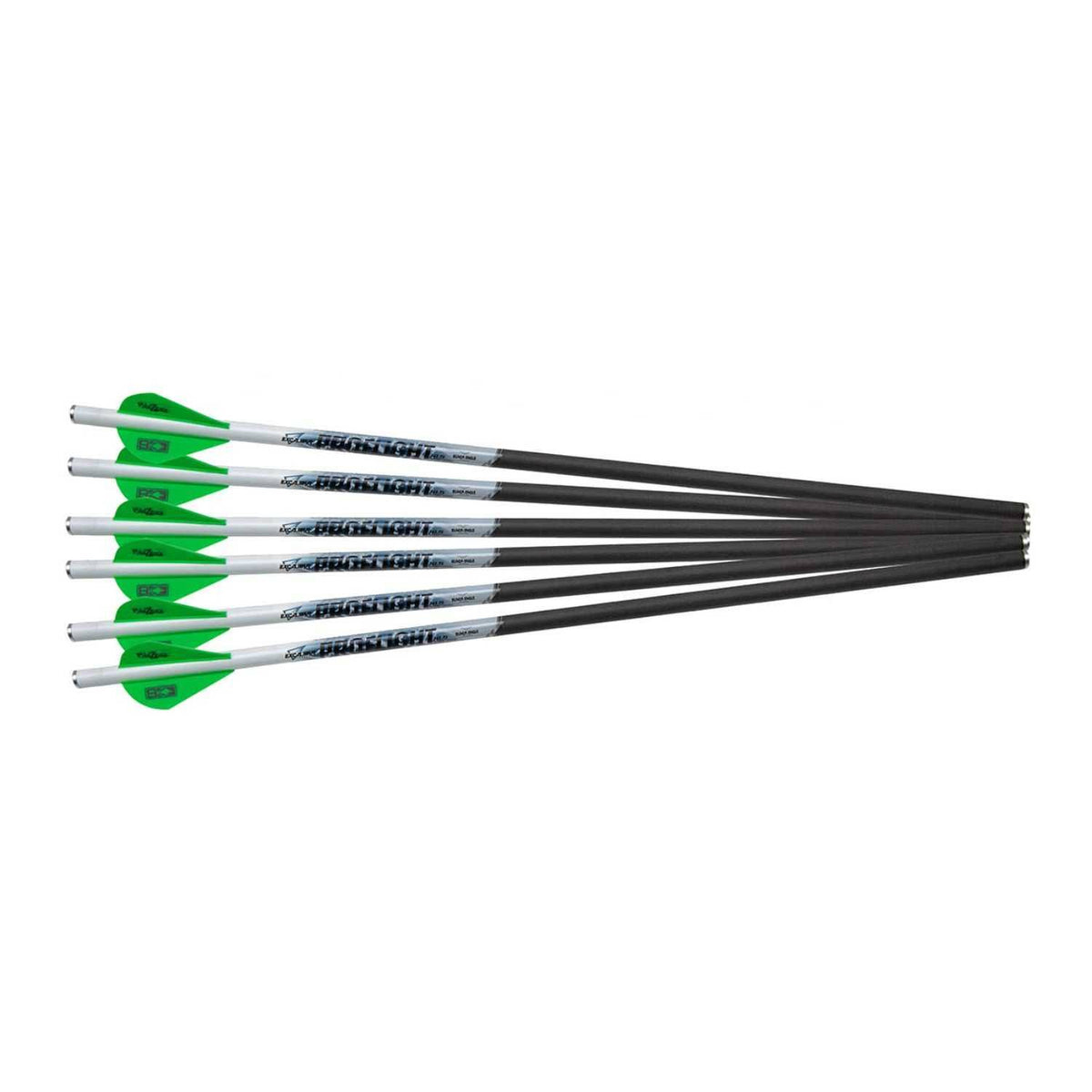 18in 6pk Crossbow Bolts N782828