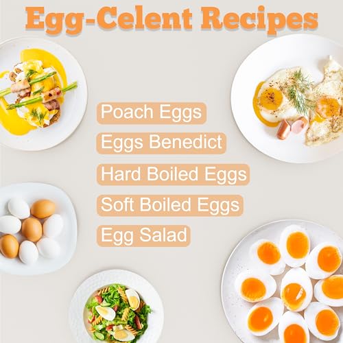 12 Egg Capacity Electric Egg Cooker G9042