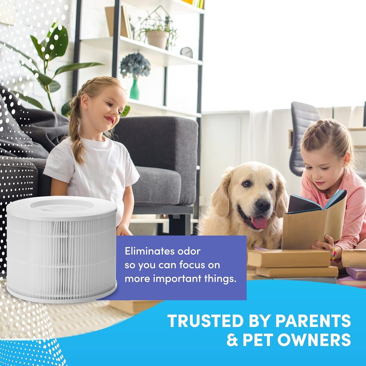 2 Pack H13 True HEPA Replacement Filters J6947