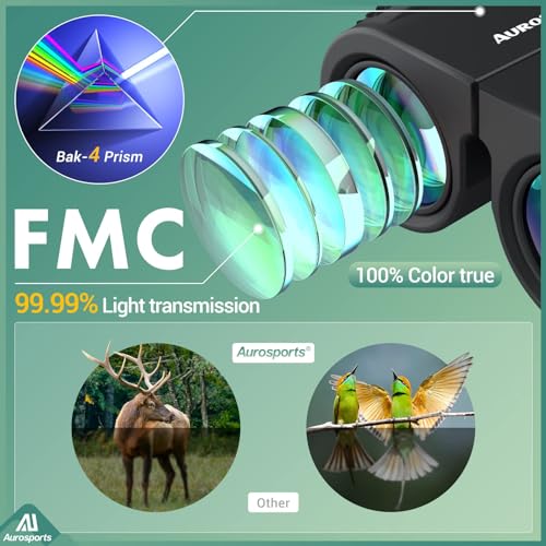 10x25 Folding Compact Binoculars D596