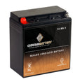 12 Volt 14 Ah 165 CCA Motorcycle Battery R160355