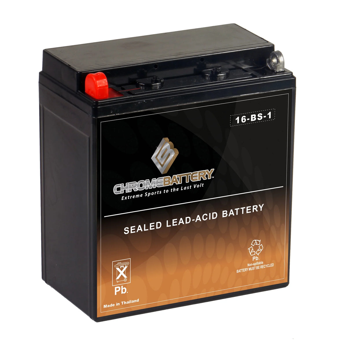 12 Volt 14 Ah 165 CCA Motorcycle Battery R160355