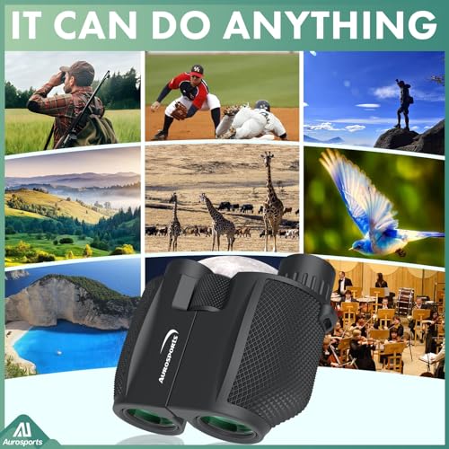 10x25 Folding Compact Binoculars D596