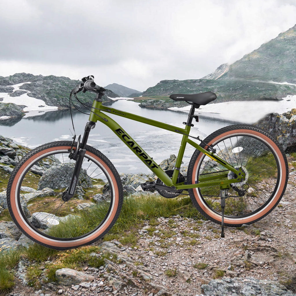 24 inch 21-Speed Mountain Bike with Disc Brake M445968