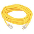 100 Ft 10 Ga Ext Cord with Power Indicator K695896